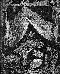 BTA00119.JPG