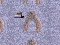 BTA00067.JPG