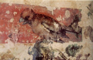 particolari della decorazione dello scrittoio del duca Cosimo