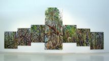 CHOPO, Mostra Medio y ambiente, Naturaleza Hiperbolica di Lilian Garcia Roig