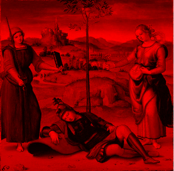 Fig. 3 - Raffaello Sanzio, Tre Grazie, immagine del canale rosso realizzata con Octave