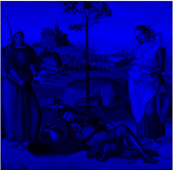 Fig. 5 - Raffaello Sanzio, Tre Grazie, immagine del canale blu realizzata con Octave