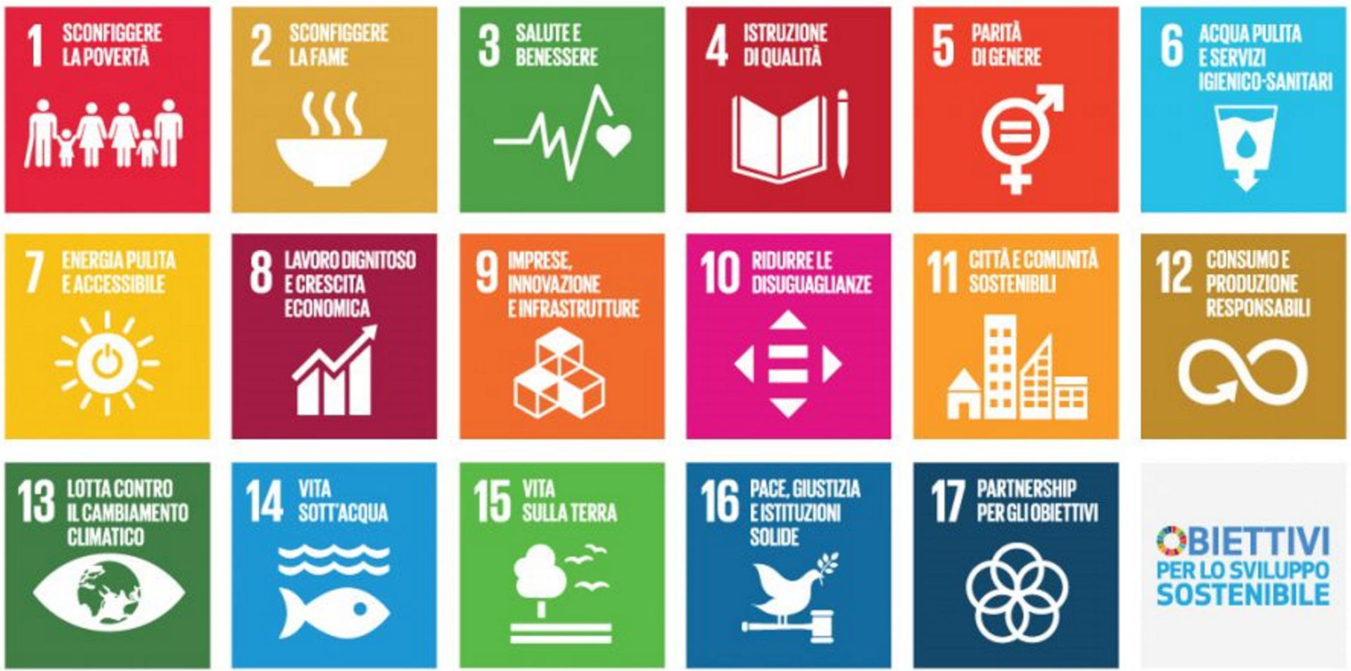 Fig. 1 - Gli obiettivi dell'Agenda 2030 delle Nazioni Unite, 2015